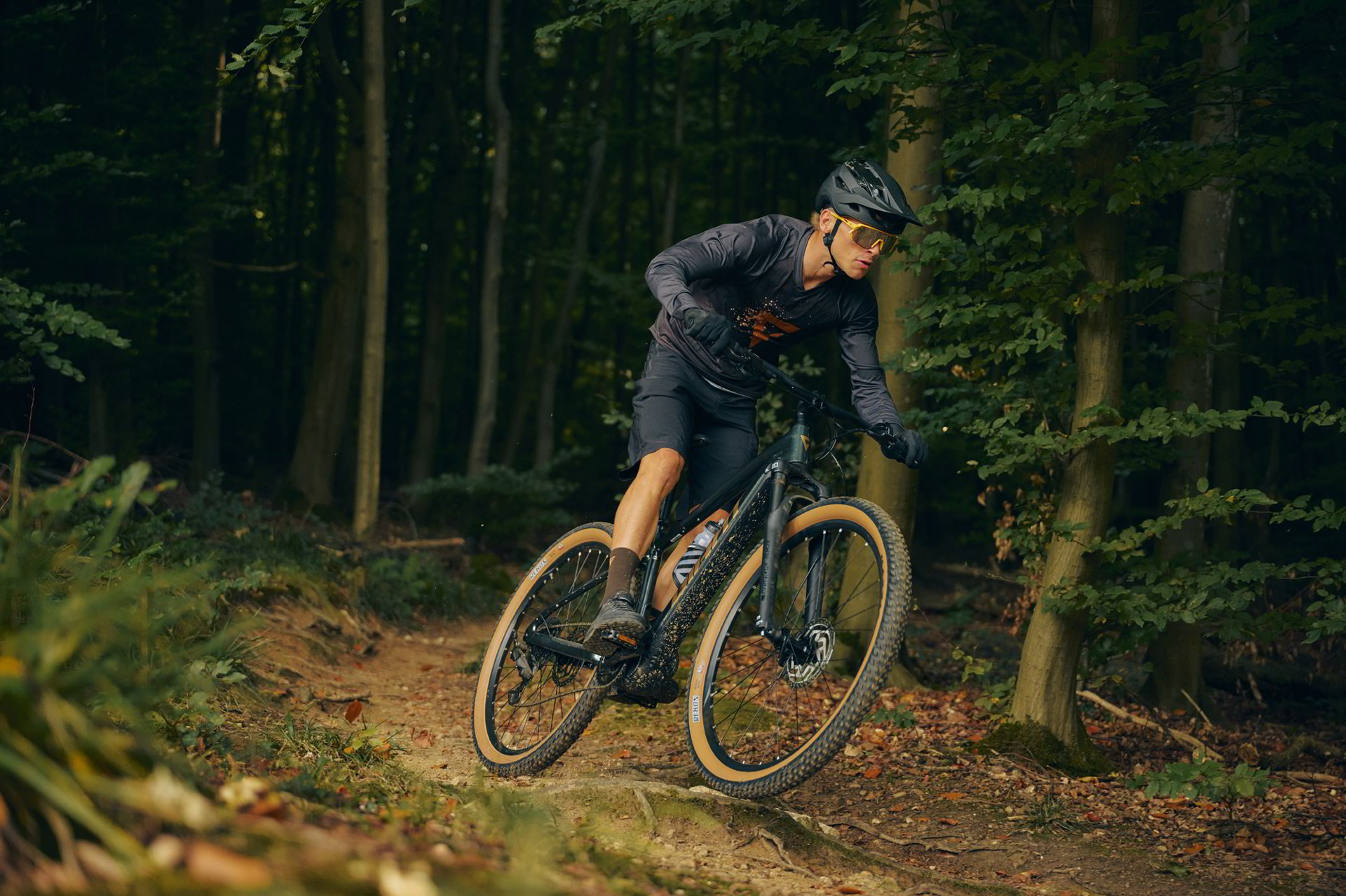 A Giant Talon E e-mountain bike on a wooded singletrack trail. The kind of e-MTB the Brecon Beacons trade comes in for.